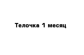 Телочка 1 месяц